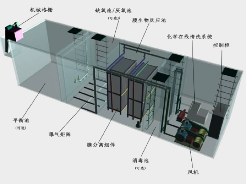 九龙坡区